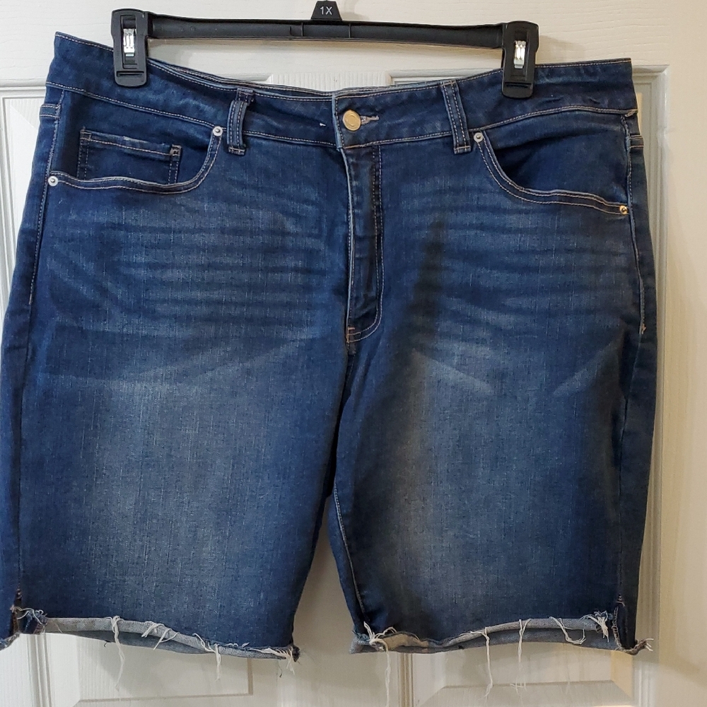 Time N Tru Woman's Denim Blue Jean Shorts Size 20